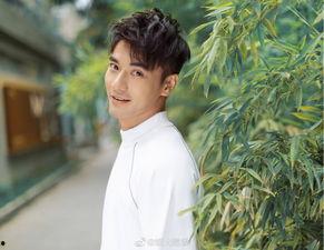 娱乐圈吃瓜爆料郑凯是谁,娱乐圈吃瓜爆料中的焦点人物  第1张