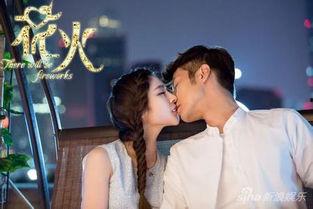 花火电视剧全集在线观看,燃烧青春，绽放梦想的青春励志剧  第1张