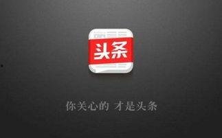 今日头条投资人爆料,揭秘投资背后的真相与内幕